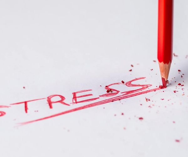 Nature landscape symbolizing clarity and focus for visual health